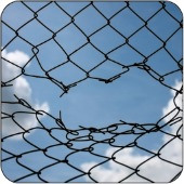 Fence hole. Image courtesy of Shutterstock.