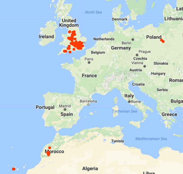Google Location Tracking