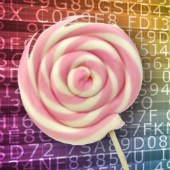 Composite image of lollipop and encryption, courtesy of Shutterstock