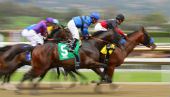 Image of racing courtesy of Cheryl Ann Quigley / Shutterstock.com 