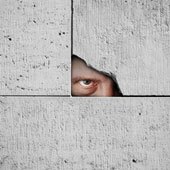 Spy. Image courtesy of Shutterstock.