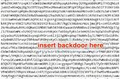 backdoor